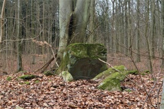 Bjergstedskoven Runddysse 2