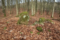 Bjergstedskoven Runddysse 2