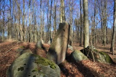 Thoreby Skov Langdysse
