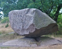 Kyllingehønen
