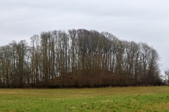 Svebølle Jættestue 1