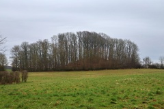 Buskehøj