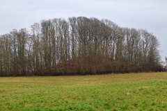 Buskehøj