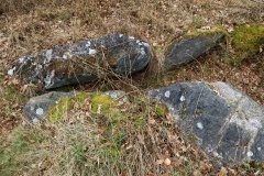 Orelund Skov Runddysse