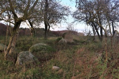 Dyrlev Skov Langdysse (Udby)