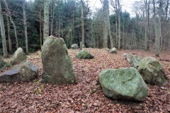 Hamborg Skov Langdysse 2