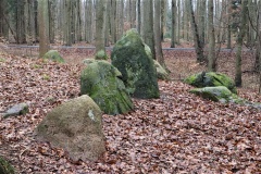 Hamborg Skov Langdysse 2