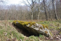 Tustrup Dybro Dyssen
