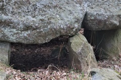 Fiskebæk Skov Runddysse 1