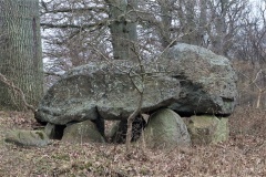 Fiskebæk Skov Runddysse 1
