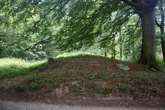 Havrekobbel Langdysse 1