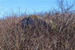 Skildrup Langdysse 1