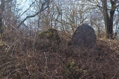 Skildrup Langdysse 2