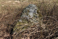 Skildrup Langdysse 2