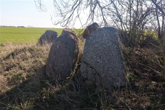 Skårupgård Runddysse