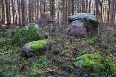Nykrog Langdysse 1