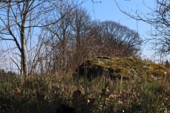 Mårup Jyndovne Langdysse