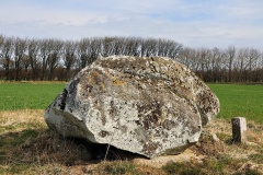 Bejstrup Ravnsten Runddysse