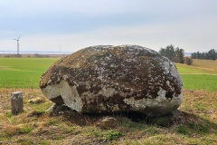 Bejstrup Ravnsten Runddysse