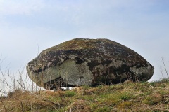 Bejstrup Ravnsten Runddysse