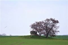 Kirke Stillinge Runddysse