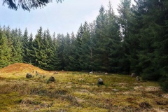 Tingskov Søhøje Stenkreds