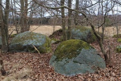 Færgemark Langdysse 3