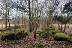 Færgemark Langdysse 3
