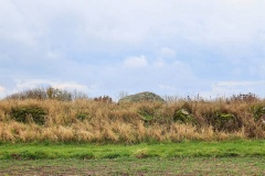 Ildbjerg Langdysse