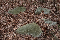 Vindeby Runddysse