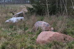 Apager Skov Langdysse 2