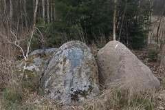Apager Skov Langdysse 2