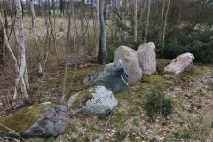 Apager Skov Langdysse 2