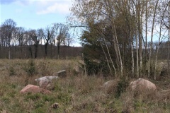 Apager Skov Langdysse 2