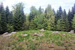 Ringelmose Skov Langdysse 5