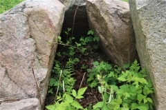 Hørret Skov Megalitgrav