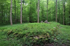 Hørret Skov Langdysse
