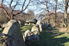 Kongedyssen Langdysse