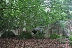 Broby Vesterskov Runddysse 3