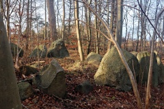 Sortsø Fredskov Langdysse 2