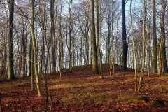 Sortsø Rundhøj 1
