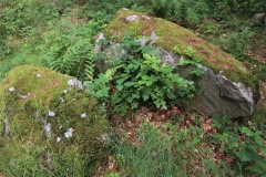 Broby Vesterskov Runddysse 2