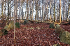Sortsø Fredskov Langdysse 1