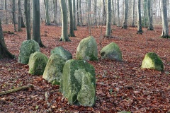 Sortsø Fredskov Langdysse 1