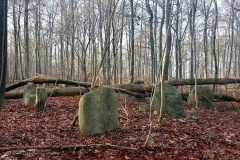 Sortsø Fredskov Langdysse 1