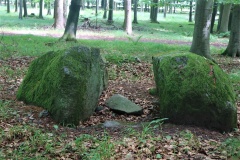Broby Vesterskov Runddysse 5