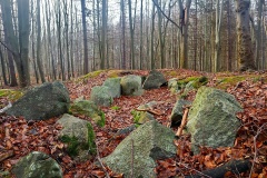 Østerskoven Ørnehøj Jættestue