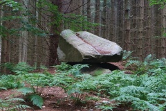 Topshøj Skov Runddysse