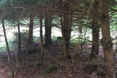 Alsted Skov Langdysse 5