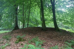 Alsted Skov Rundhøj 2